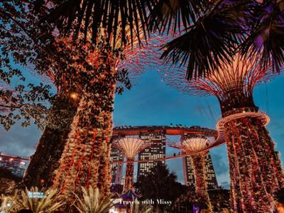 Сингапур - Cloud Forest, Supertree Grove 
