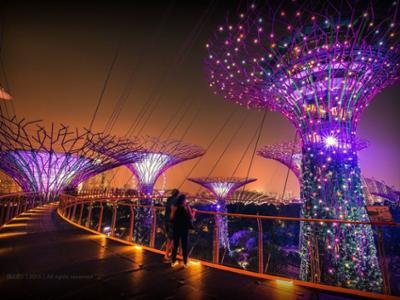 Сингапур - Cloud Forest, Supertree Grove 