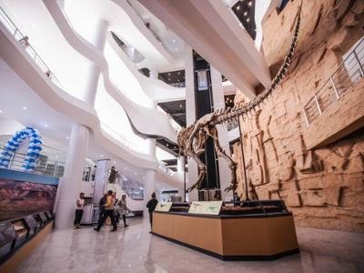 The Gobi Museum of Nature and History