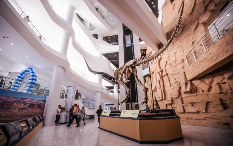 The Gobi Museum of Nature and History