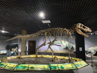 The Gobi Museum of Nature and History