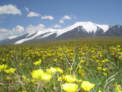 Tsambagarav Mountain