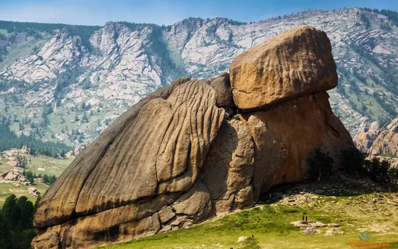 Turtle Rock
