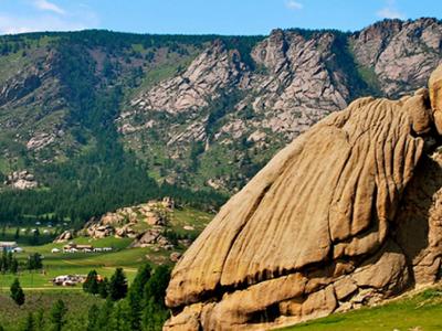 Turtle Rock