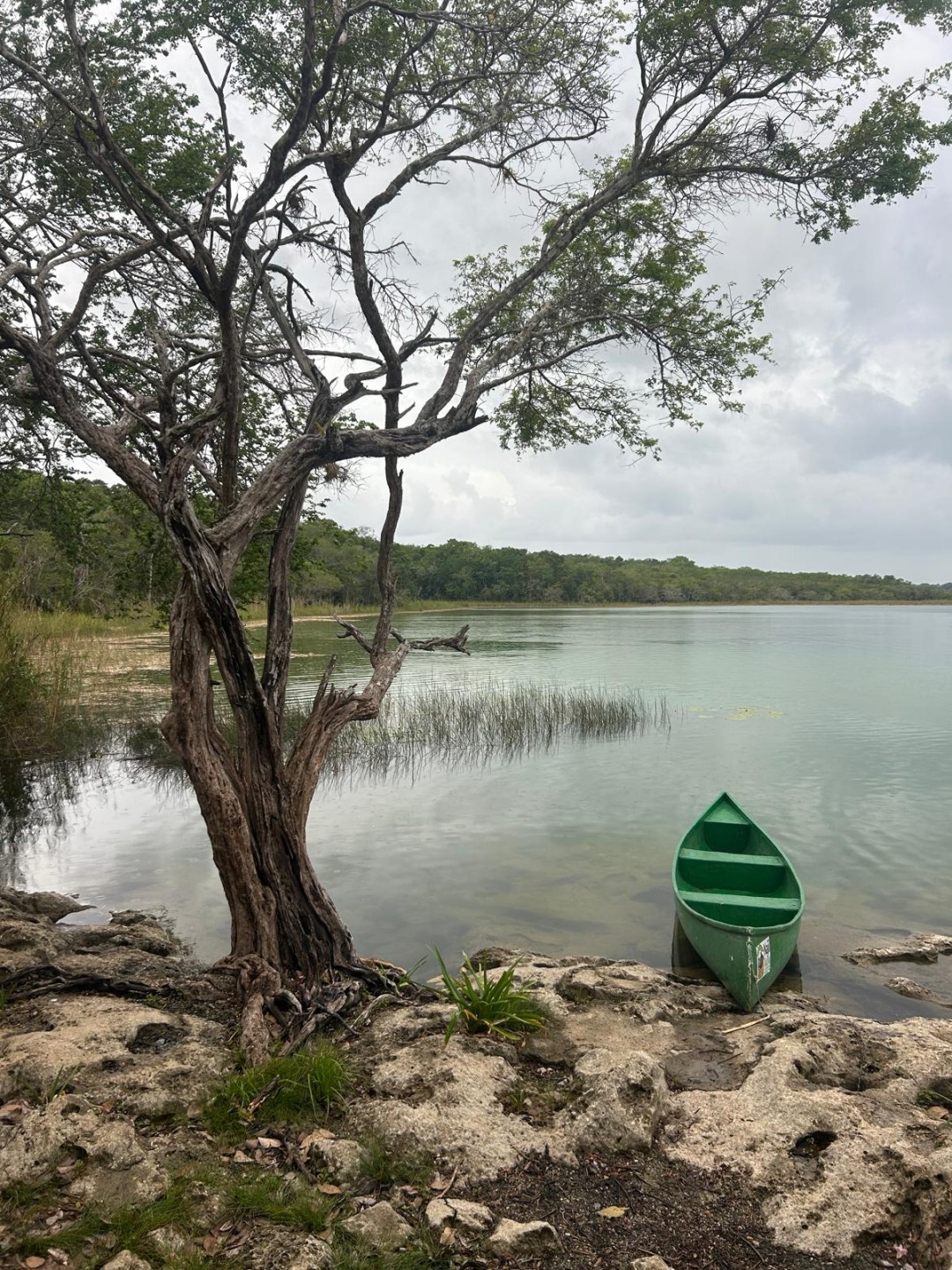 Cano&euml; en mangrove au Mexique