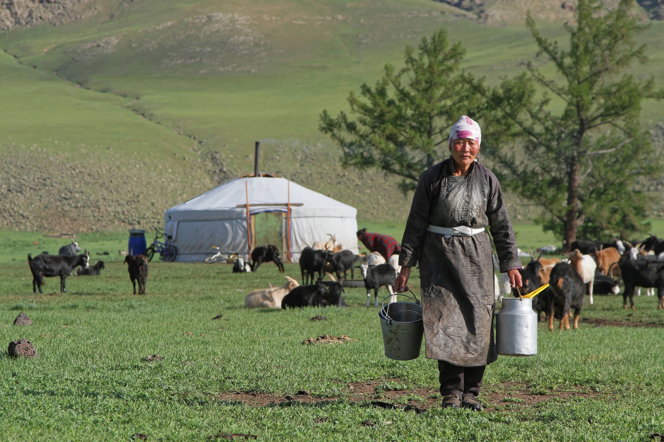 Mongolie - Horseback Mongolia