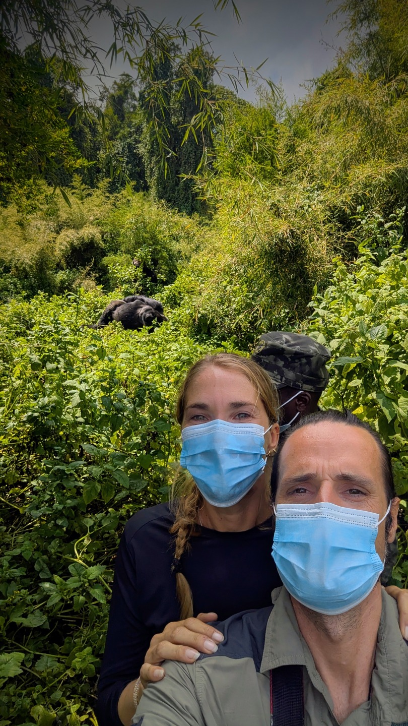 Voir les gorilles au Rwanda : mon rêve d’enfance devenu réalité