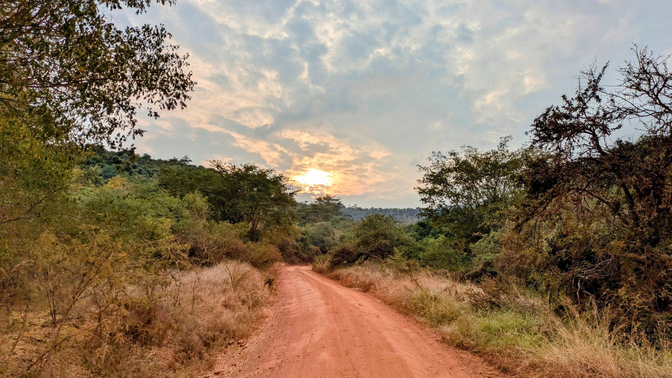 Voyage au Rwanda avec Nomadays : l’expérience inoubliable de Simon entre gorilles et safaris