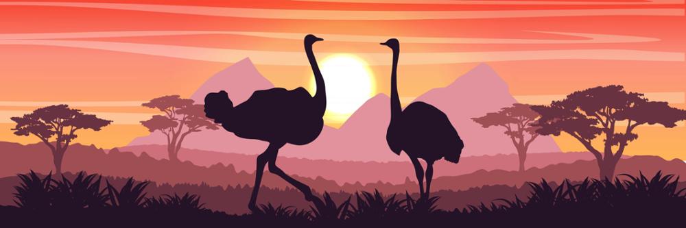 Informations pratiques pour préparer votre voyage en Tanzanie
