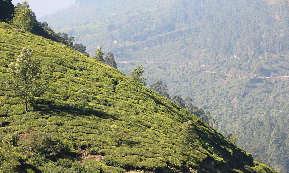 La géographie de l'Inde