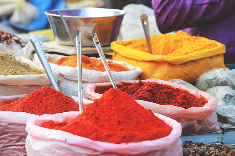 Top 8 des expériences à vivre en Inde