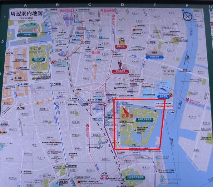 Visite du Parc Ama Rykiu à Tokyo