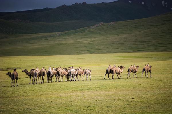 Pourquoi choisir le Kirghizistan pour votre prochain voyage