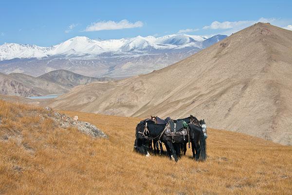 Pourquoi choisir le Kirghizistan pour votre prochain voyage