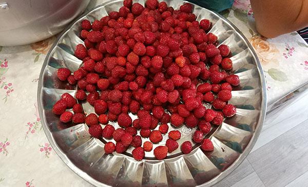 La confection des confitures au Kirghizistan, toute une tradition
