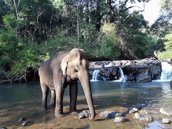 Mondulkiri: une région du Cambodge qui vaut le détour