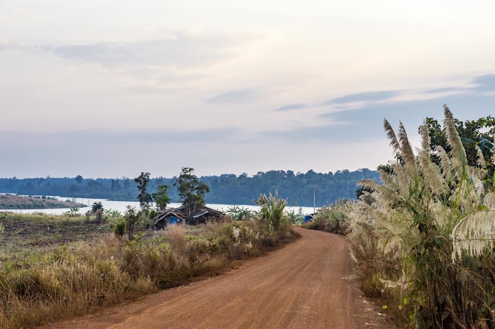 Le Cambodge, terre de huit nouvelles espèces vivantes