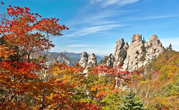 Top 5 des attractions en Corée du Sud