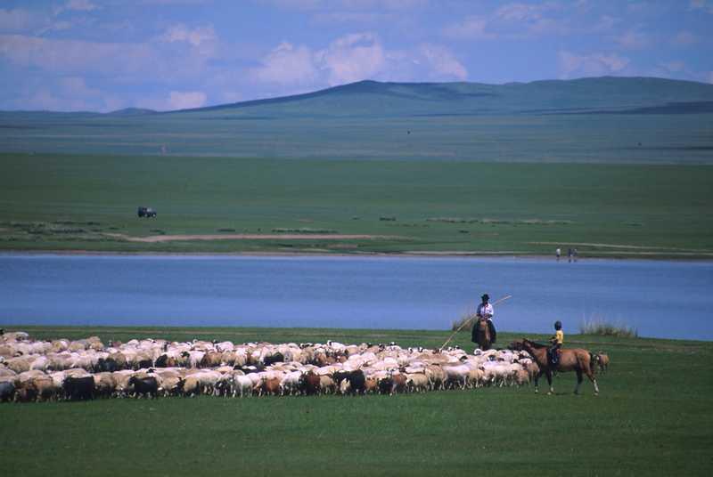 Les différents problèmes qui touchent l’agriculture en Mongolie