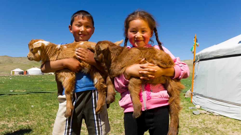 La démographie de la Mongolie