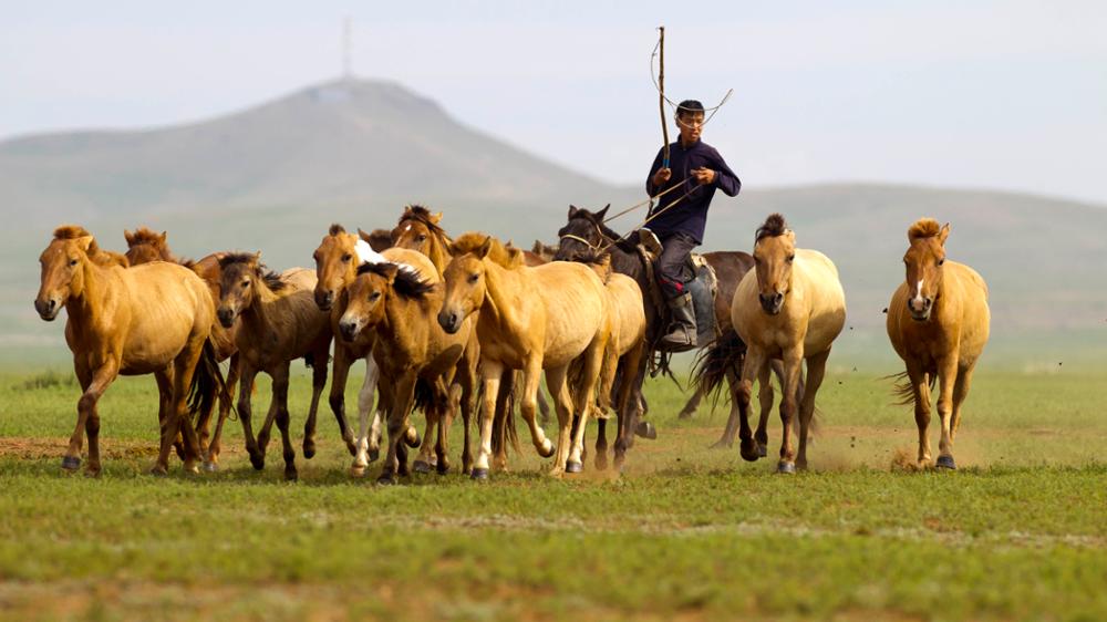 Le nomadisme en Mongolie