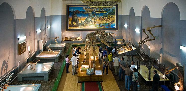Sous le règne des dinosaures