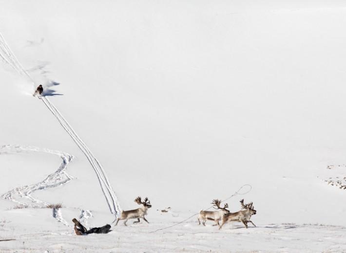 La tradition du ski dans la culture Mongole