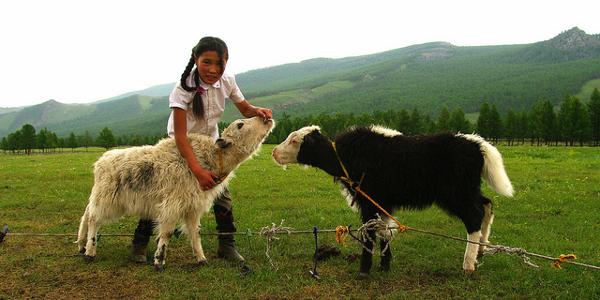 Les enfants des steppes de Mongolie