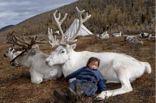 Les enfants des steppes de Mongolie