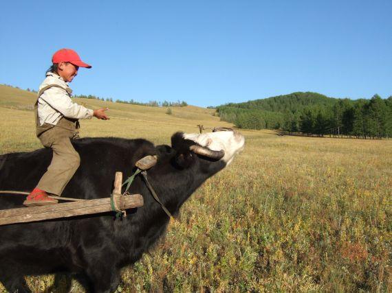 Les enfants des steppes de Mongolie
