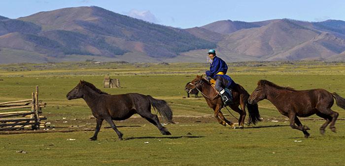 Cavaliers mongols avec chevaux