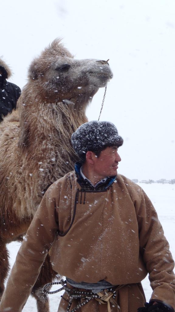 Le festival des glaces, l'incontournable évènement de l'hiver
