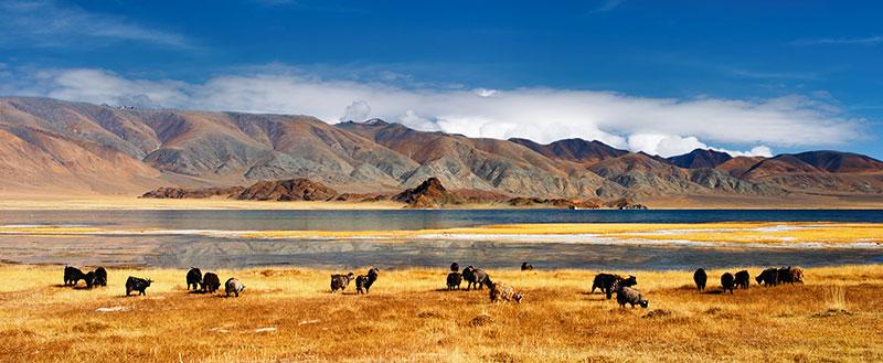 La Mongolie, une destination à ne pas manquer en 2017 !