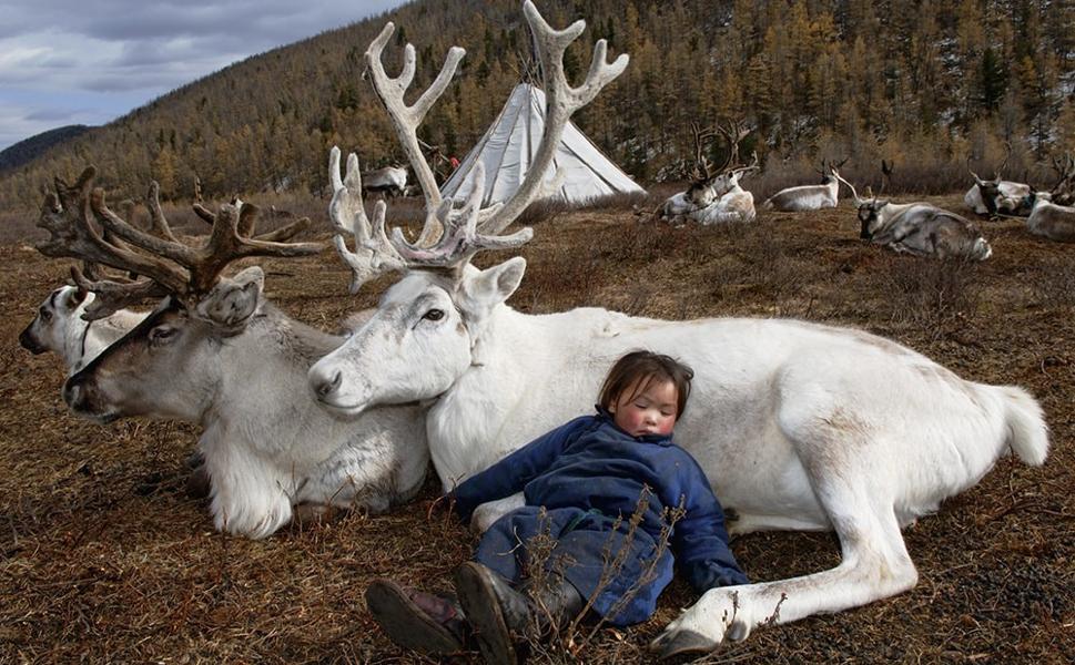Le photographe Hamid Sardar vous emmène à la rencontre des nomades de Mongolie…