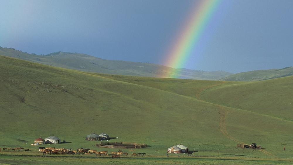 Best season to come to Mongolia