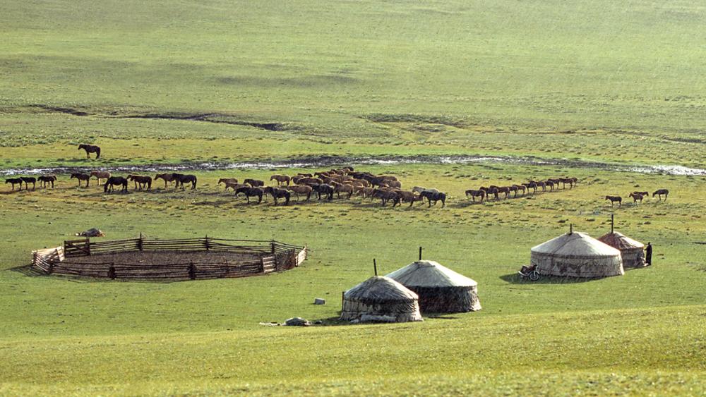 Climate in Mongolia