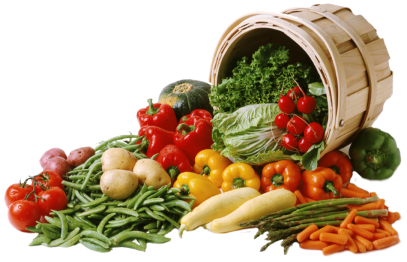 Travelling in Mongolia when you are vegetarian
