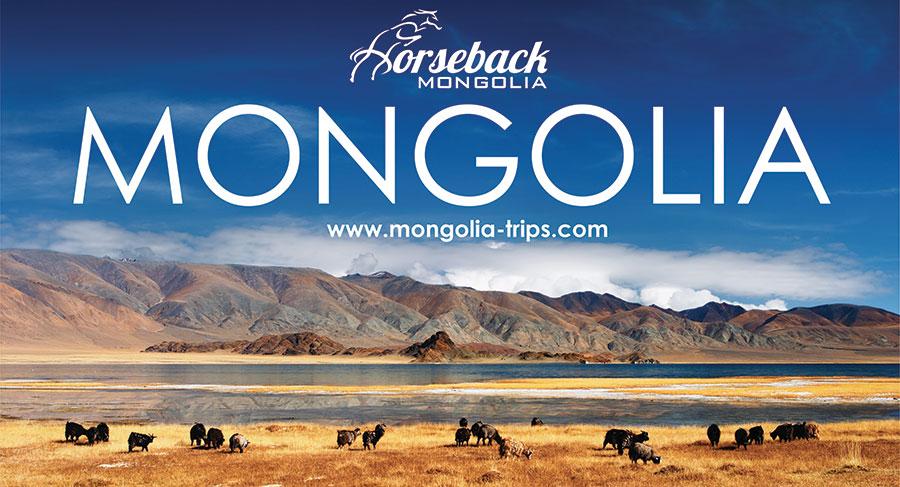 Infographic about Mongolia