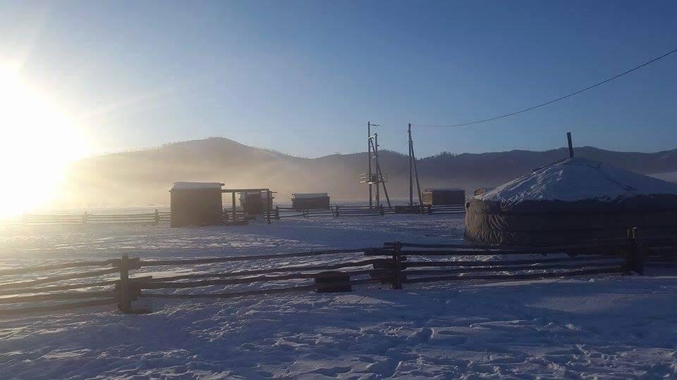 The nine 9s of Mongolian winter