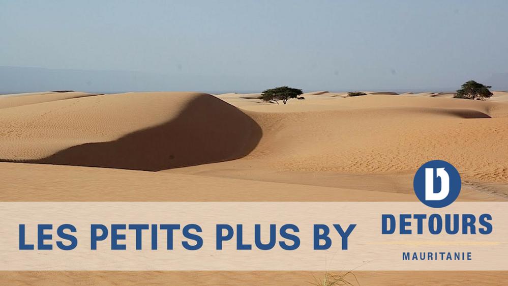 Les petits plus de Détours Mauritanie