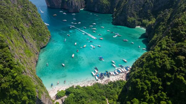 Maya Bay - Retour au bercail des requins à pointes noires