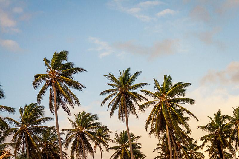 Le climat en Thaïlande
