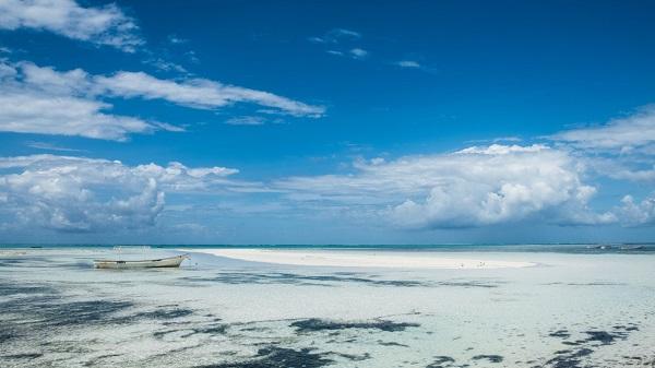 Escale à Zanzibar : les meilleures activités à faire